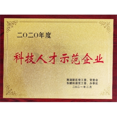 2020年度科技人才示范企業